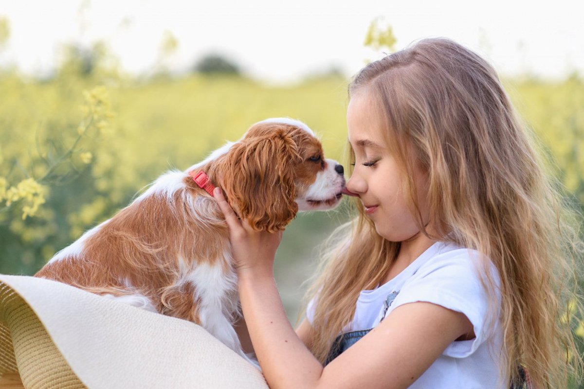 『優しい犬種』４選　性格が温厚で穏やかなワンコの共通点とは？よく見せる仕草や行動も