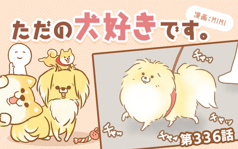 ただの犬好きです。【第336話】「チラ見せ」