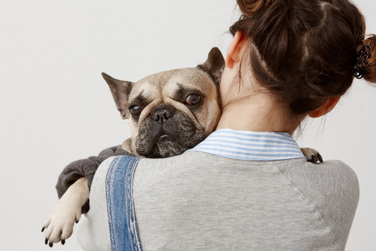 犬が『精神的に弱っている時』に見せるサイン5選　やってはいけないことと適切な対処法