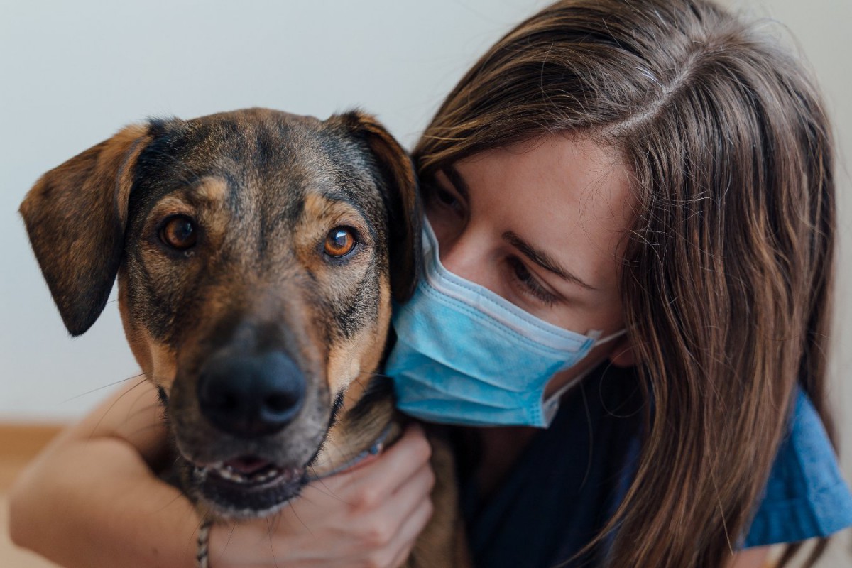 コロナ禍の中、愛犬が飼い主の社会的支援になったという調査結果