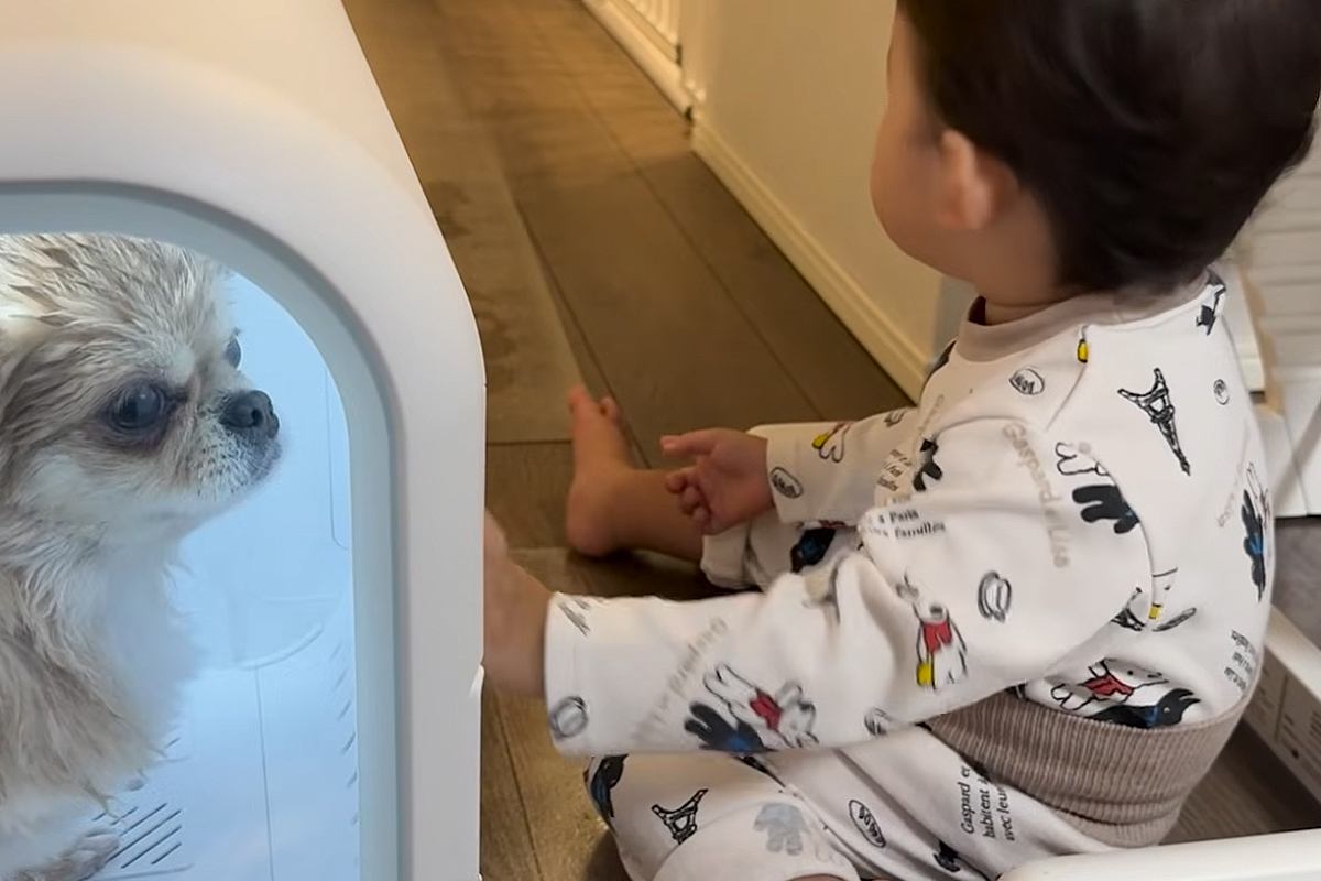 1歳の男の子が『ドライヤーハウスで体を乾かす犬』を発見→『助けなきゃ』と心配して…尊い行動と『成長した光景』に反響「兄弟愛が素敵すぎる」