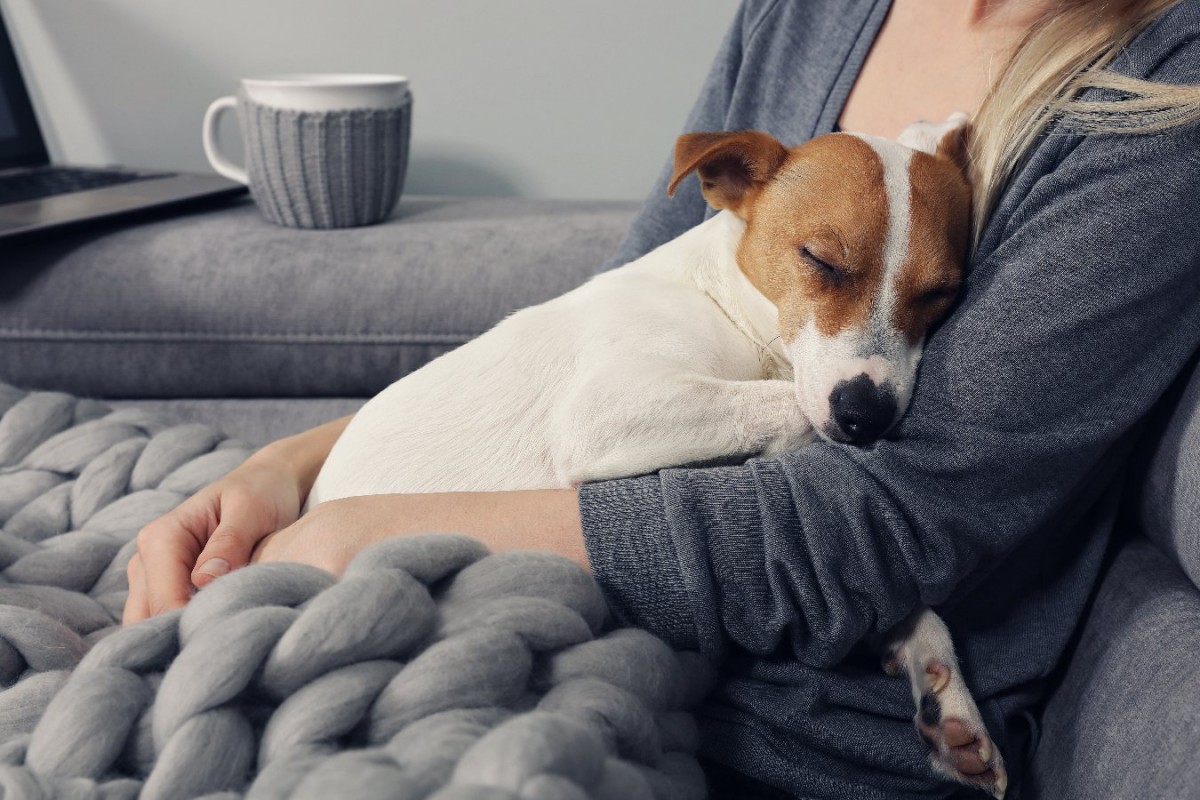 犬が「寒いよ」と飼い主に伝えている時のサイン3選！心と体をポカポカに温める方法とは？