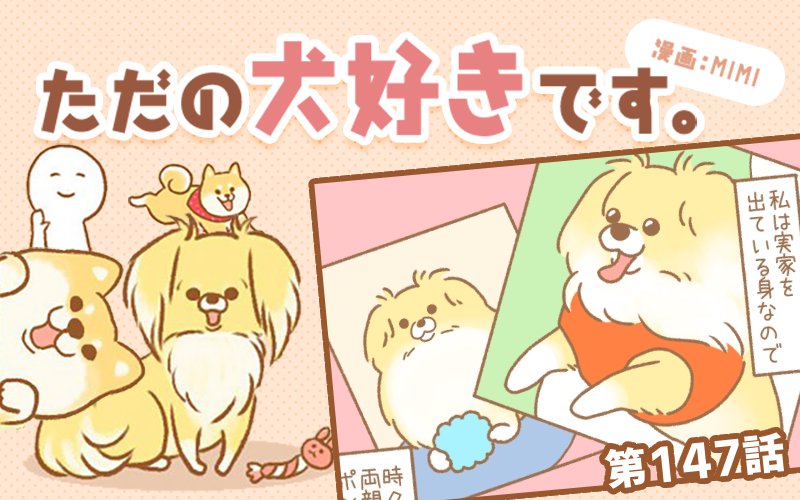 ただの犬好きです。【第147話】「全部かわいい」