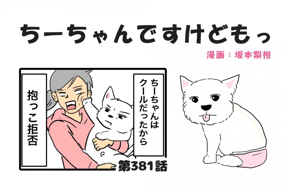 ちーちゃんですけどもっ【第381話】「シニア期の幸せ」