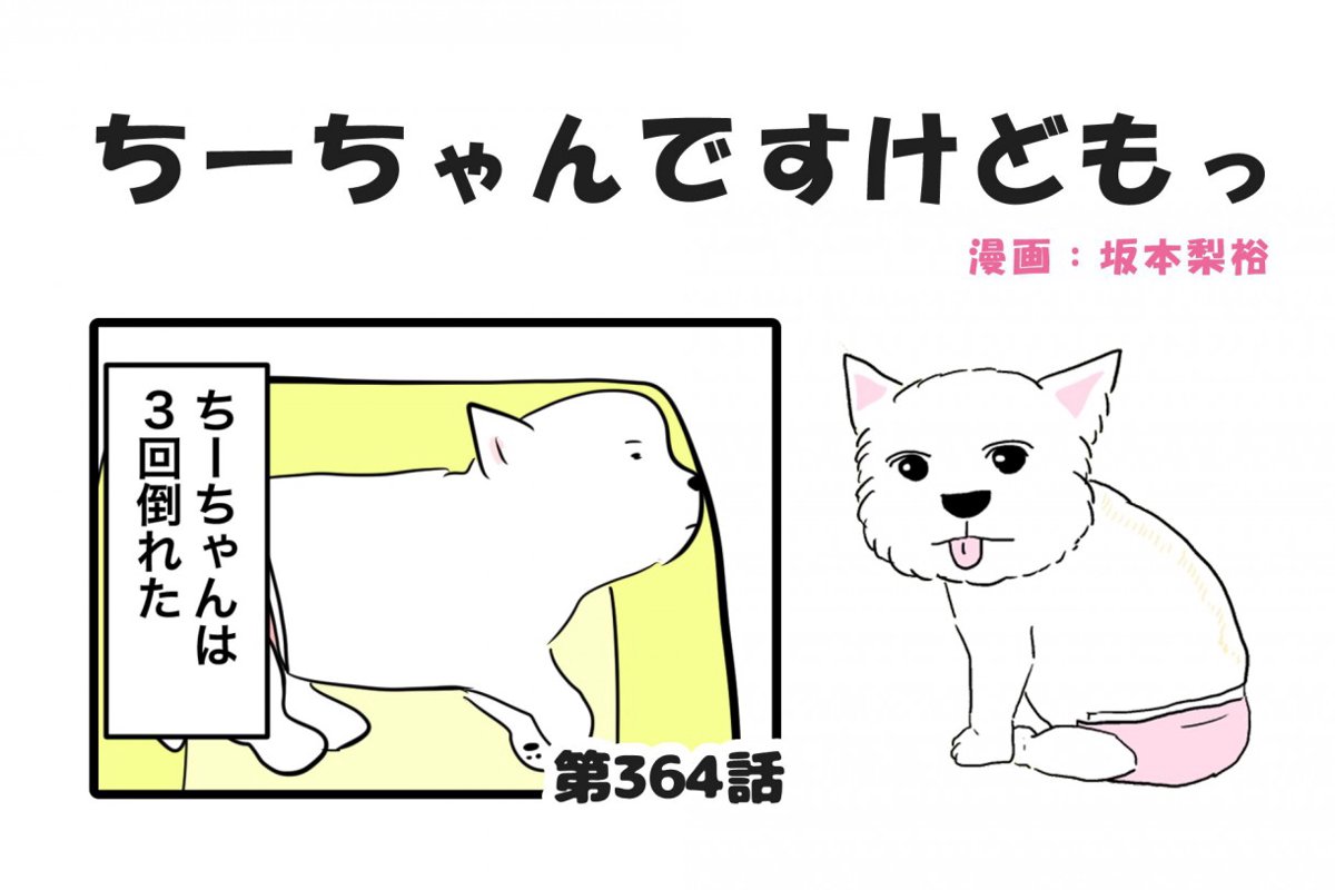  ちーちゃんですけどもっ【第364話】「今を大切に」