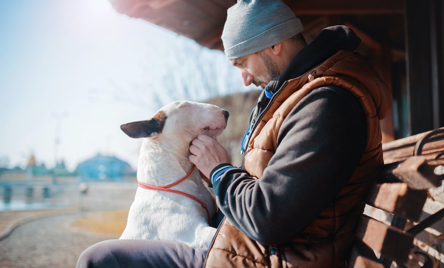 「犬に話しかける人は知性的」この研究って本当かどうかを検証