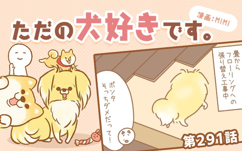 ただの犬好きです。【第291話】「忘れちゃう」