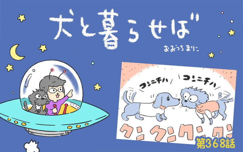 犬と暮らせば【第368話】「こだわり」