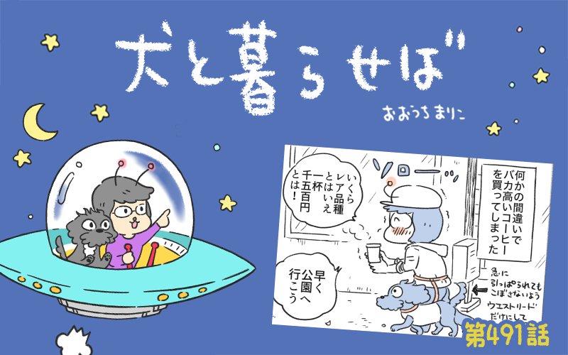 犬と暮らせば【第491話】「コーヒー散歩の悲劇」