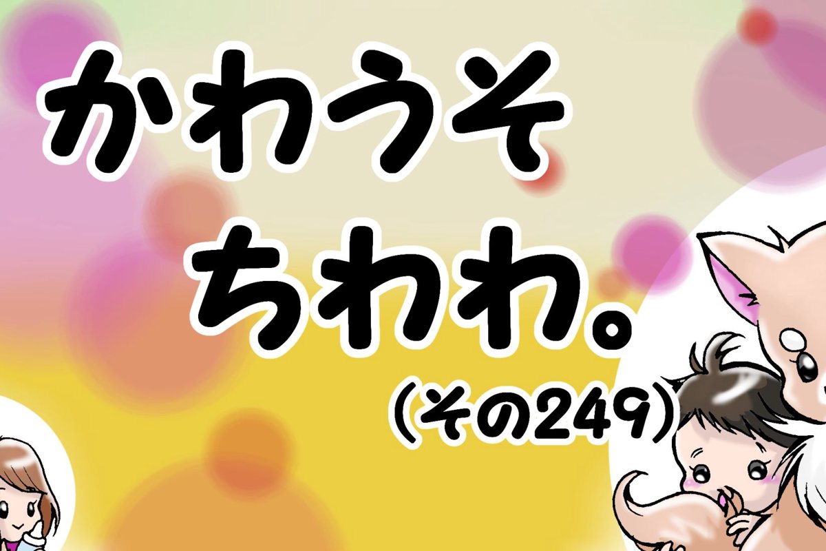 かわうそちわわ。【その249】「鳩も好きなおかーちゃん」