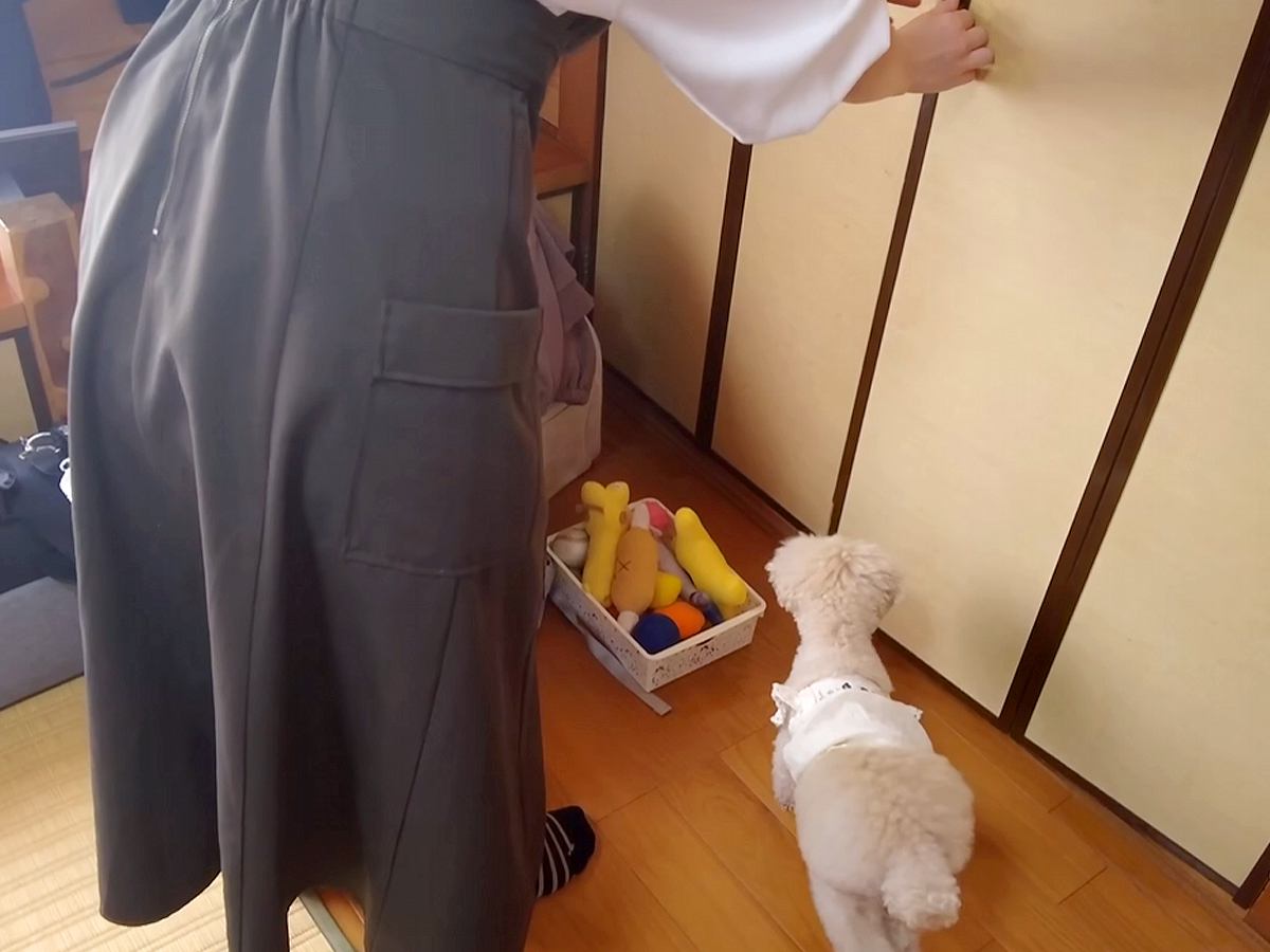 おばあちゃんの75歳の誕生日→犬と一緒にお祝いしていたら…思いがけない悲劇が起こり『ブチギレる光景』が話題「びっくりしたね」「可愛いｗ」