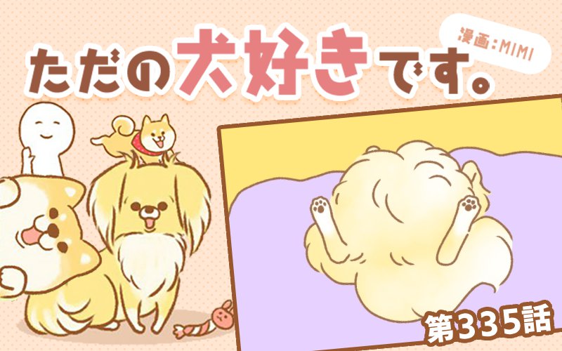ただの犬好きです。【第335話】「仰向け寝」