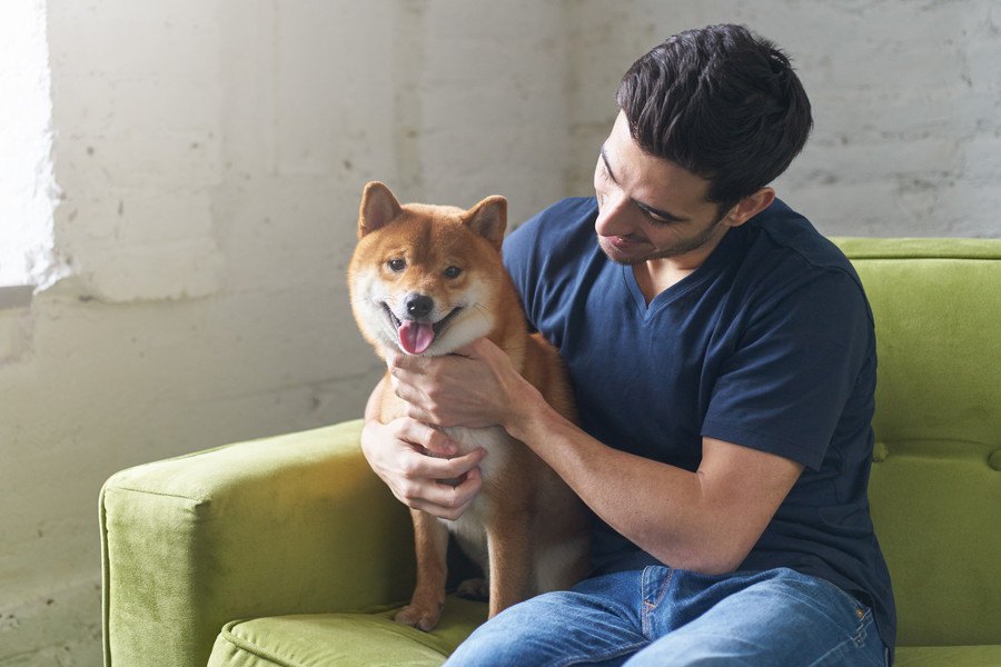 犬を飼っている人の傾向とは？主な特徴や共通点