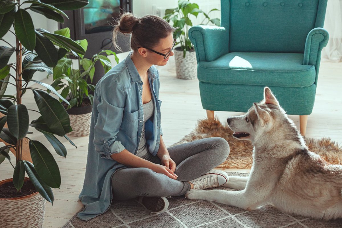 今では考えられない！昔主流になっていた『犬のしつけ』2選