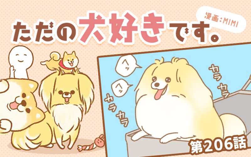 ただの犬好きです。【第206話】「ショッピングカート」