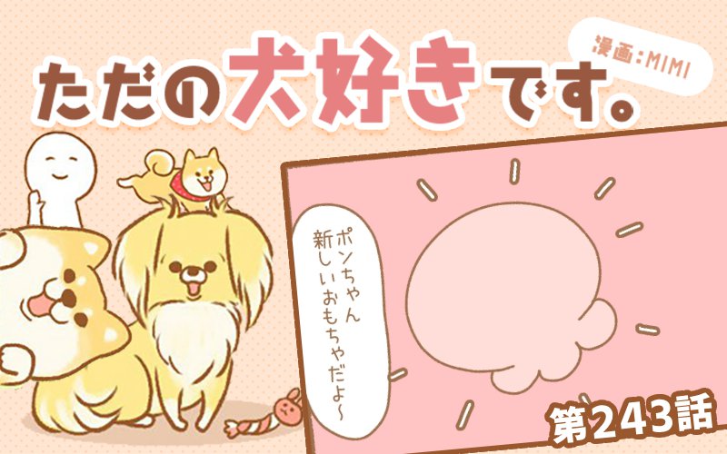 ただの犬好きです。【第243話】「こっちのがいい」