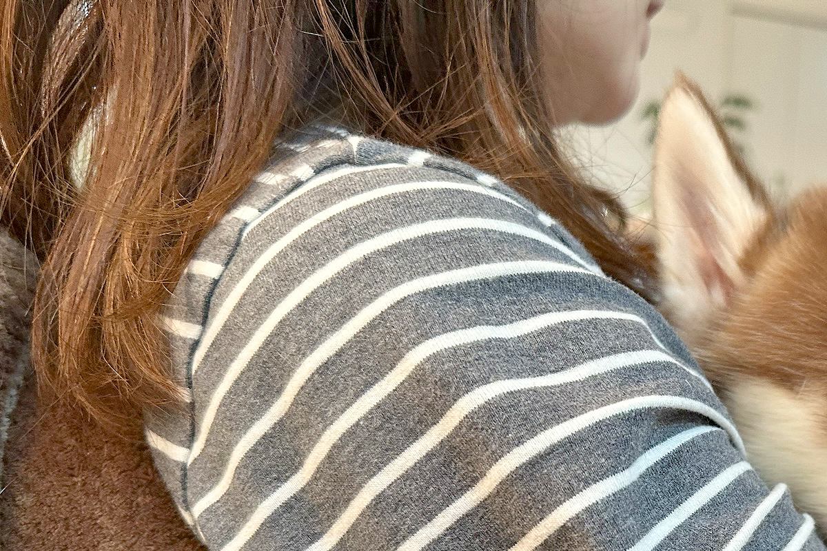 同い年の赤ちゃんと暮らす子犬→寝たのを見計らって、ママに…あまりにもいじらしい『尊すぎる行動』に4万いいね「ご褒美時間だ」「可愛い」