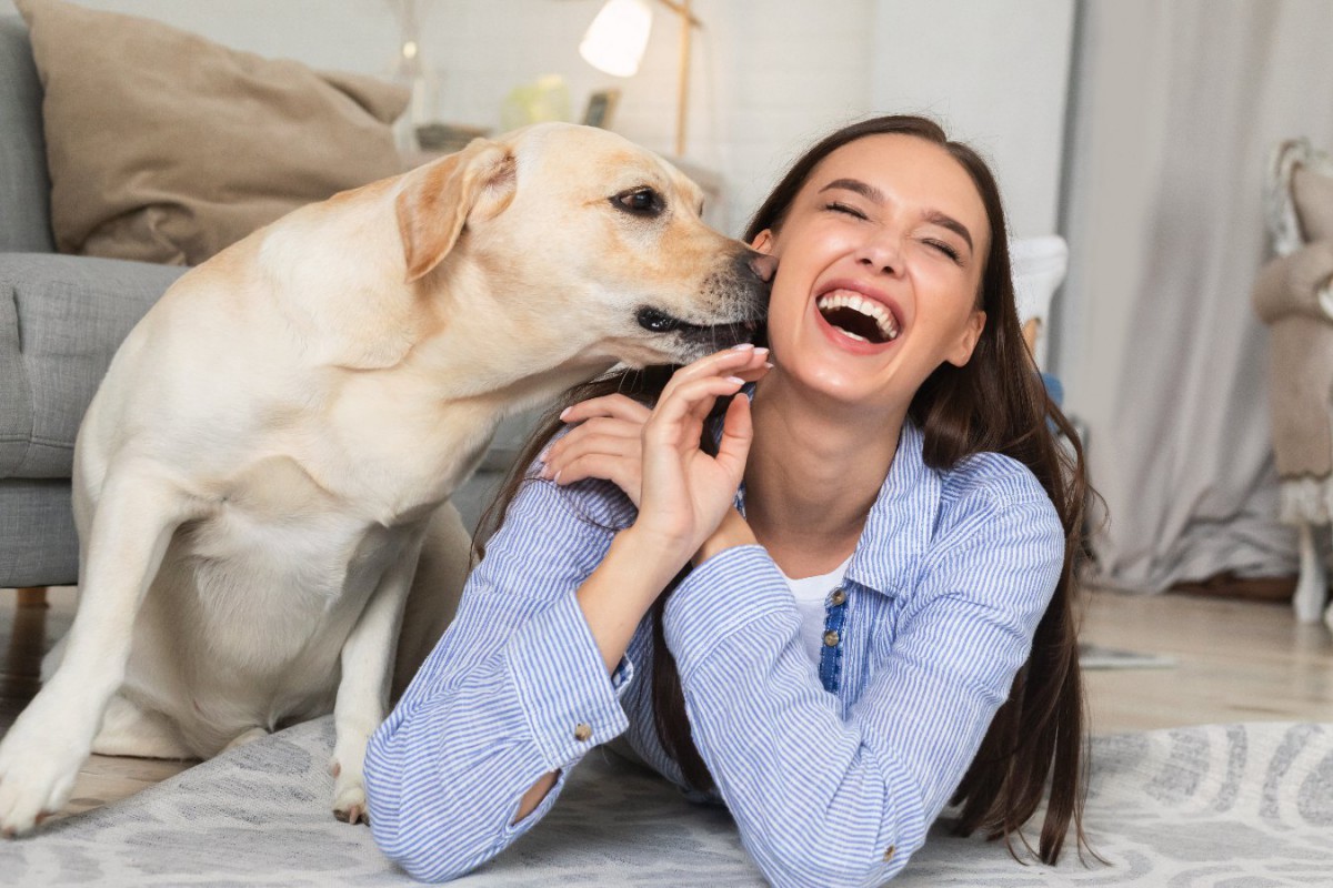 犬が飼い主の顔を舐めまくるのはなぜ？4つの心理を解説