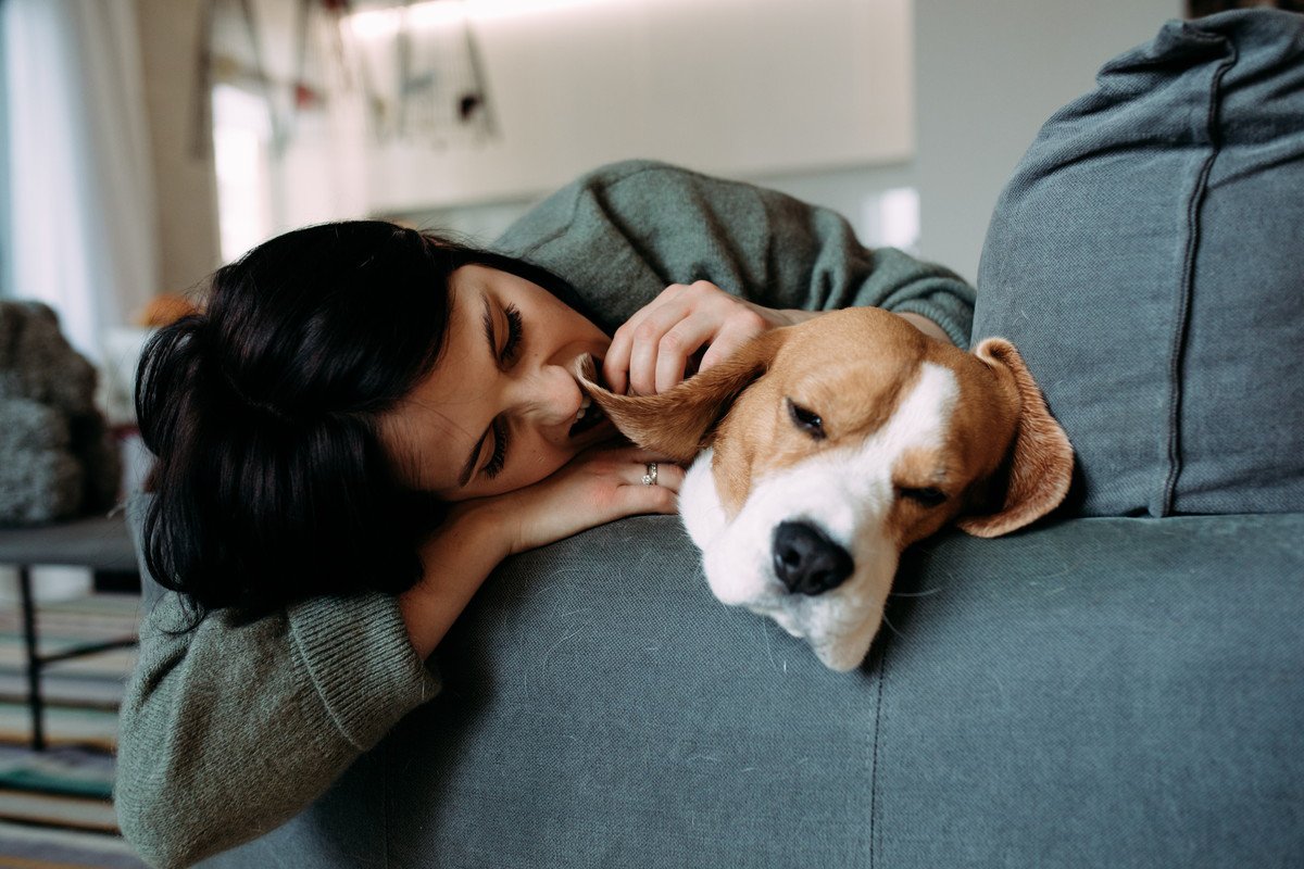 愛犬が突然甘えなくなる原因4つ　注意すべき病気が隠れている可能性も