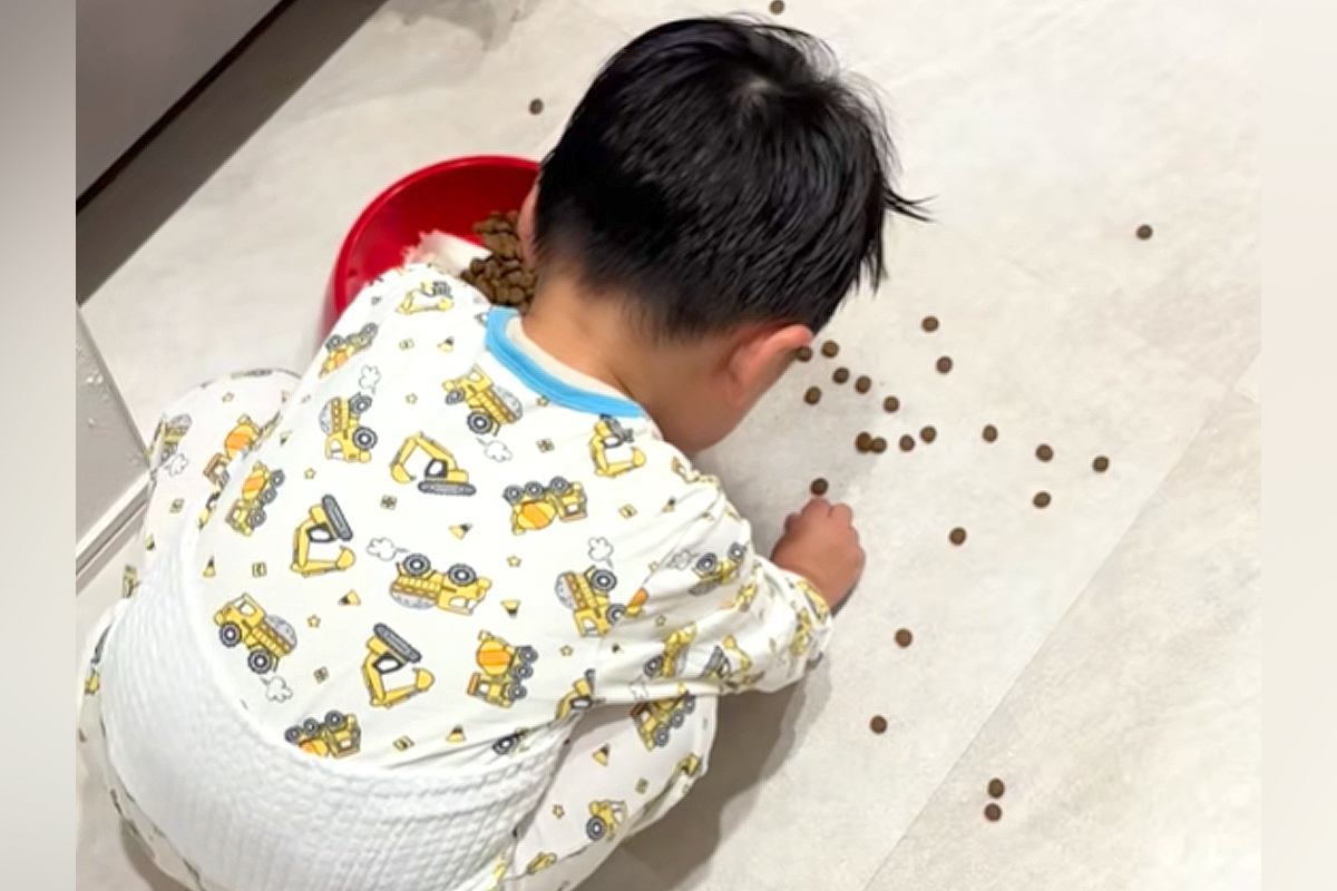 犬のごはんを落としてしまった男の子→必死に拾う後ろで、犬がこっそり…あまりにも尊い『ふたりの様子』が話題「優しすぎて泣ける」と33万再生