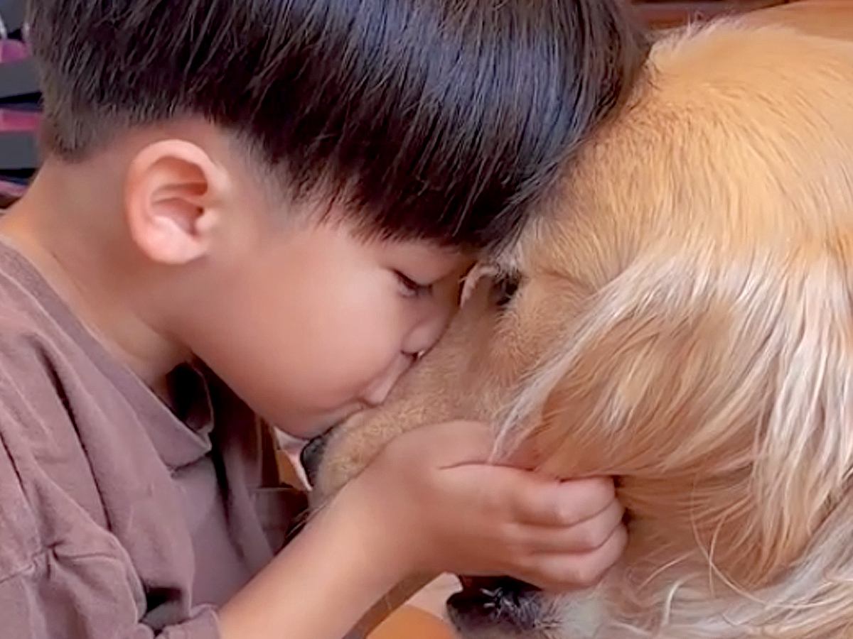 男の子が幼稚園から帰宅した直後、大型犬に向かって…あまりにも尊い『充電タイム』が91万再生「か、か、可愛い」「絵画にして残すレベル」