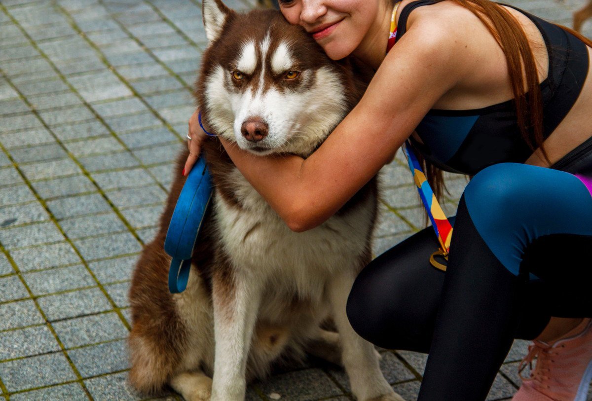 犬にとって『余計なお世話』になりかねない飼い主の行動6つ　大切だからこそ適切な距離感を保ってあげよう