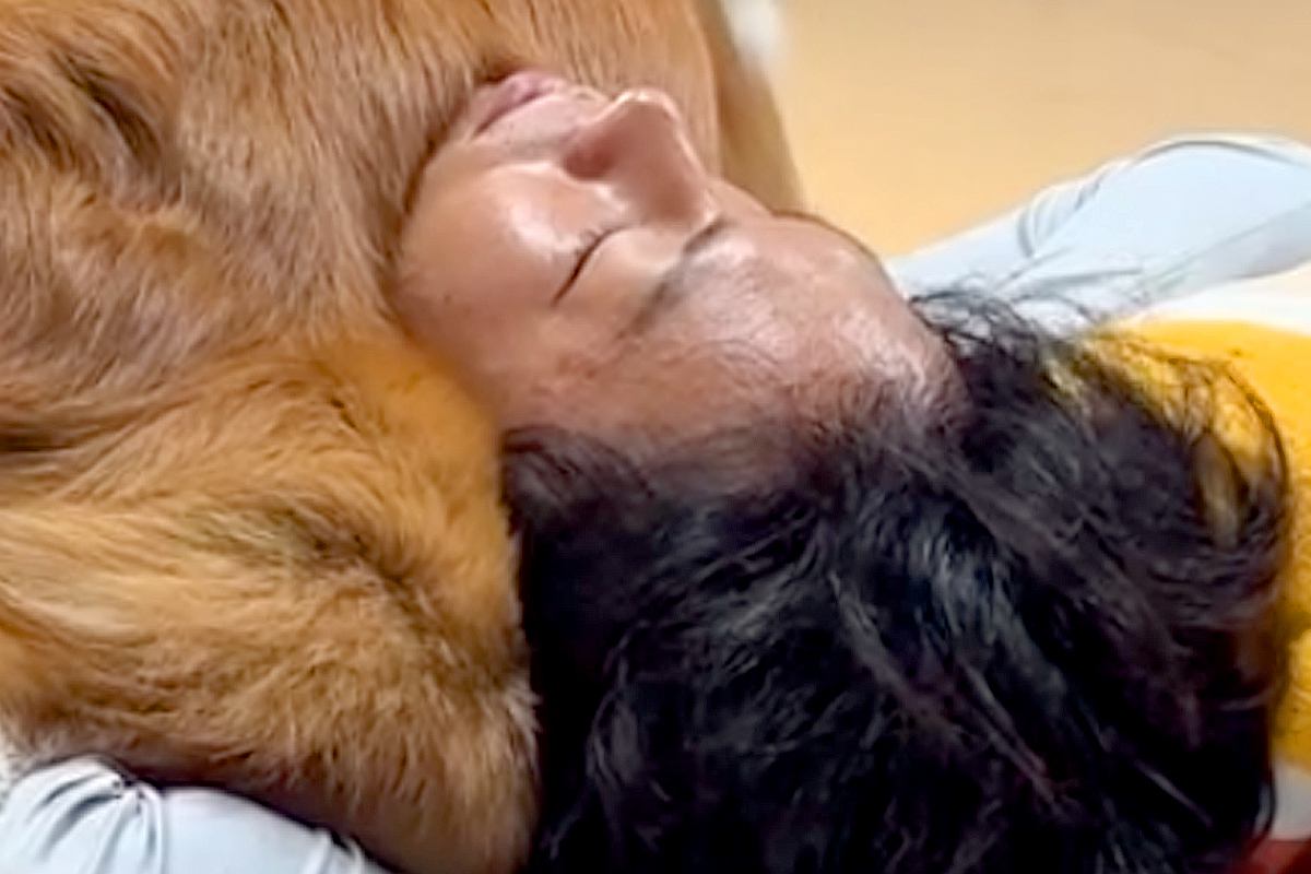 パパが起きないので、犬に『起こして』とお願いした結果→『優しく起こすかな』と思ったら…まさかの光景が42万再生「幸せな起こされ方」「天国」