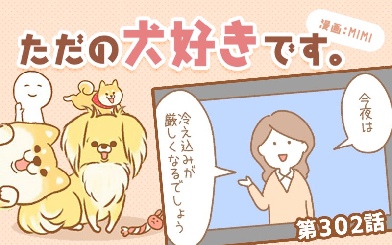 ただの犬好きです。【第302話】「良いなと思ったこと」