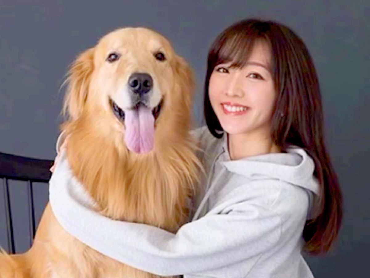 突然『余命１ヶ月』を宣告された大型犬…亡くなるまでを綴った『涙腺崩壊する光景』が240万再生「絶対に幸せだった」「勇気づけられた」と反響