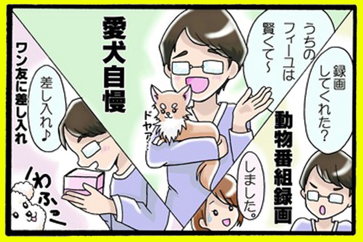 かわうそちわわ。（50） おとーちゃんの告白