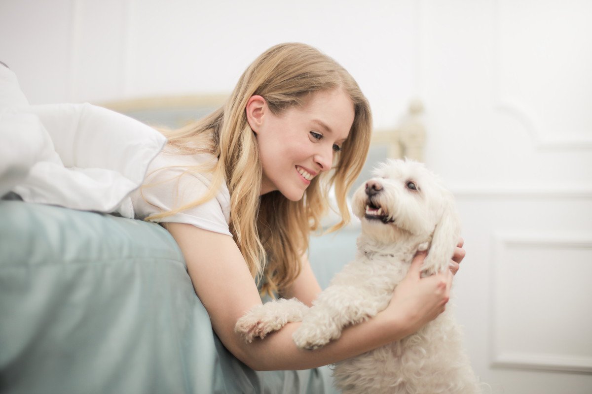 犬が早朝に『飼い主を起こす』理由4つ　愛犬からの要求に応えるべき？対処法とは？