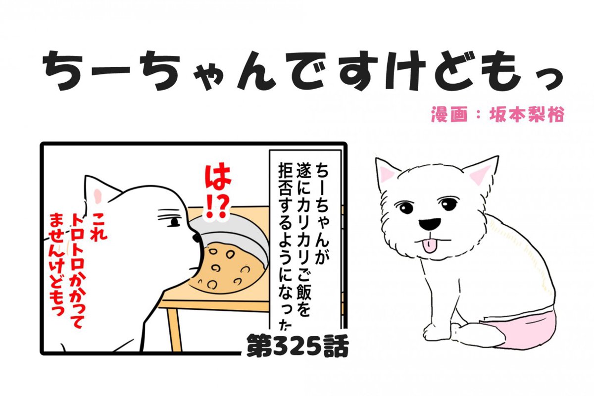 ちーちゃんですけどもっ【第325話】「シニア犬の圧」 