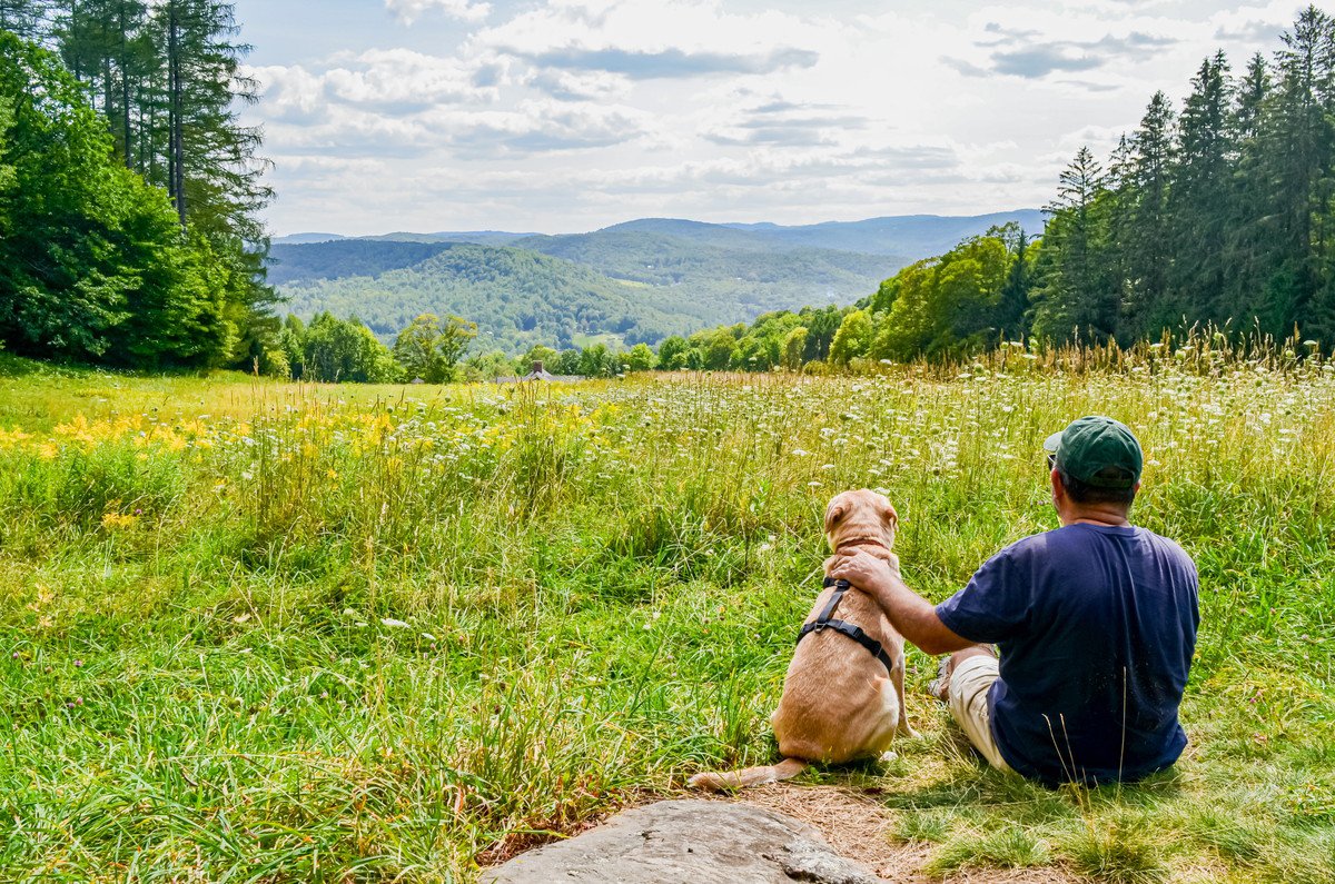 犬と一緒に出かけたい気持ちを1回落ち着かせて！本当にそれは犬のためになるのか考えてみよう