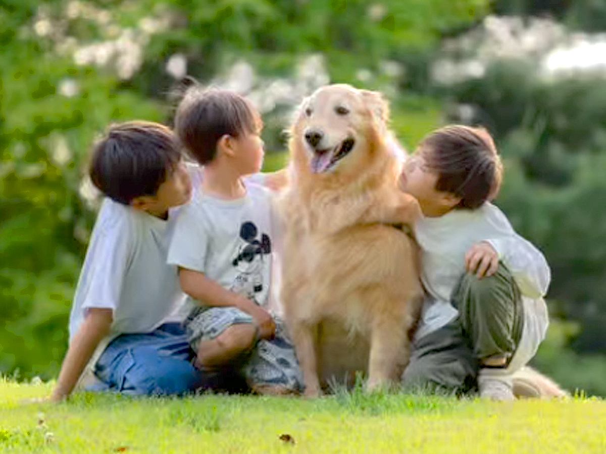 ３人の男の子が『大型犬と一緒に育った』結果…涙が止まらない『家族愛にあふれた光景』が25万再生「泣けた…尊い」「素敵な日常」と感動の声も