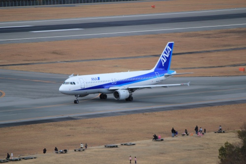 ワンコとずっと一緒の北海道旅行！今話題の「ワンワンフライト」とは