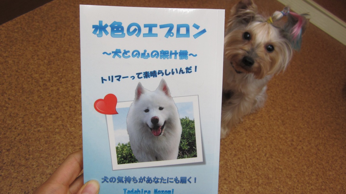 現役トリマーさんが書き下ろした小説！『水色のエプロン　～犬との心の架け橋～』