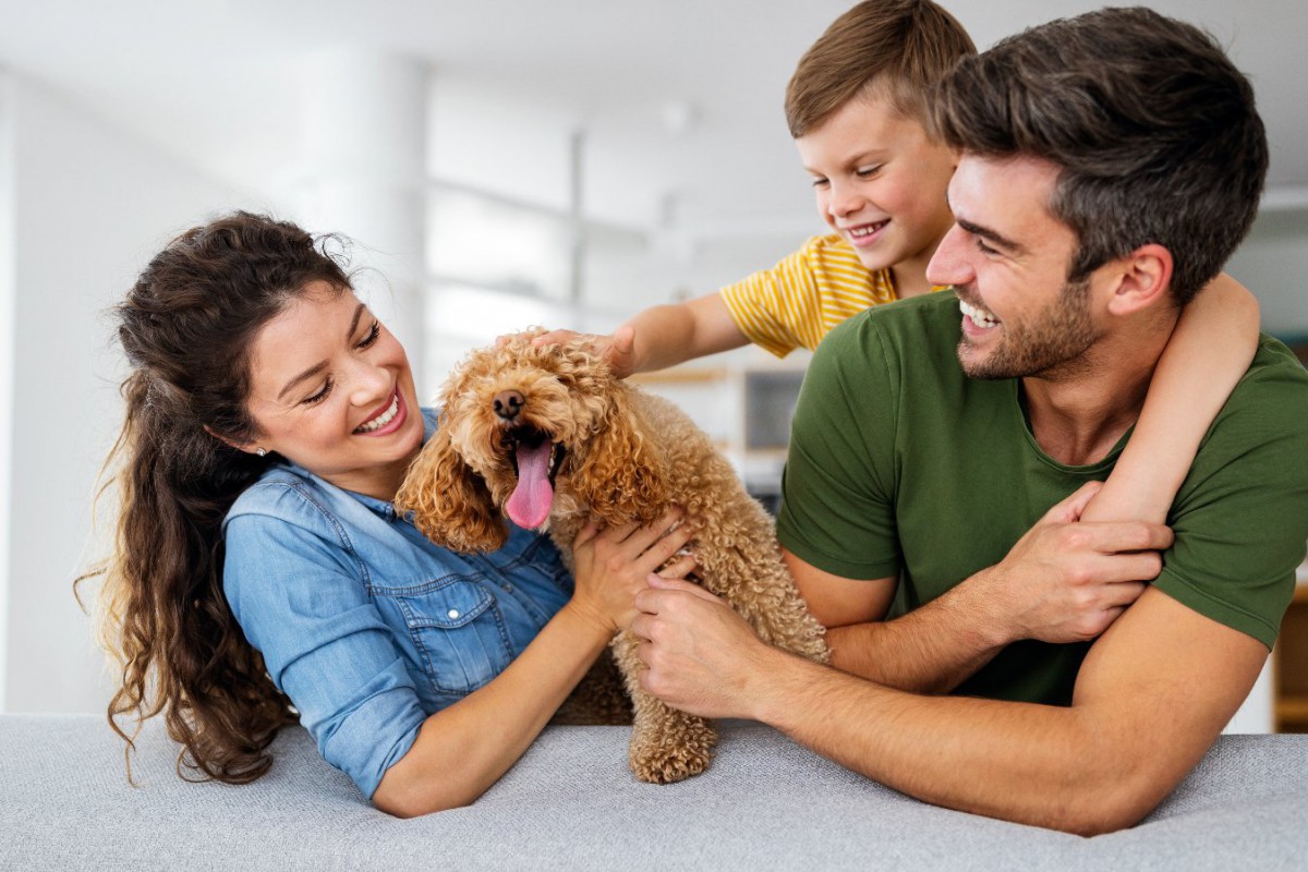 愛犬が『飼い主の休日』にしがちな行動5選！いつもよりたくさん会えて嬉しい気持ちがいっぱいに♡