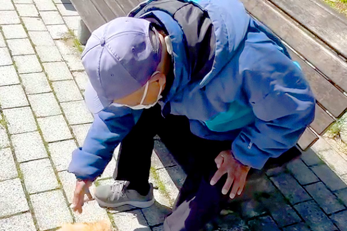 極小子犬が『ベンチで休憩中の知らないおじいちゃん』を発見→一目散に駆け寄って…とんでもなく可愛い光景が10万再生「たまらん」「チョロQ？」