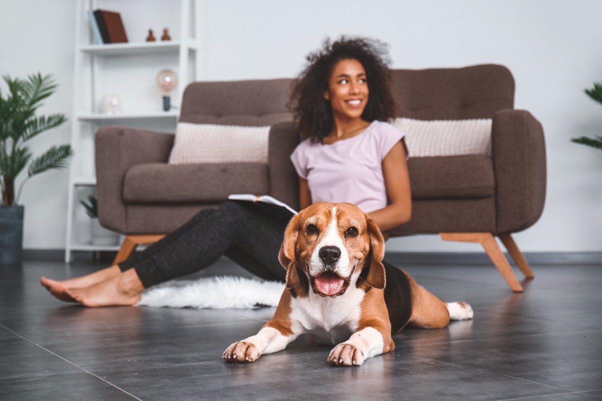 犬が『飼い主を守るとき』に見せる仕草４選！なぜそのような行動をとるの？