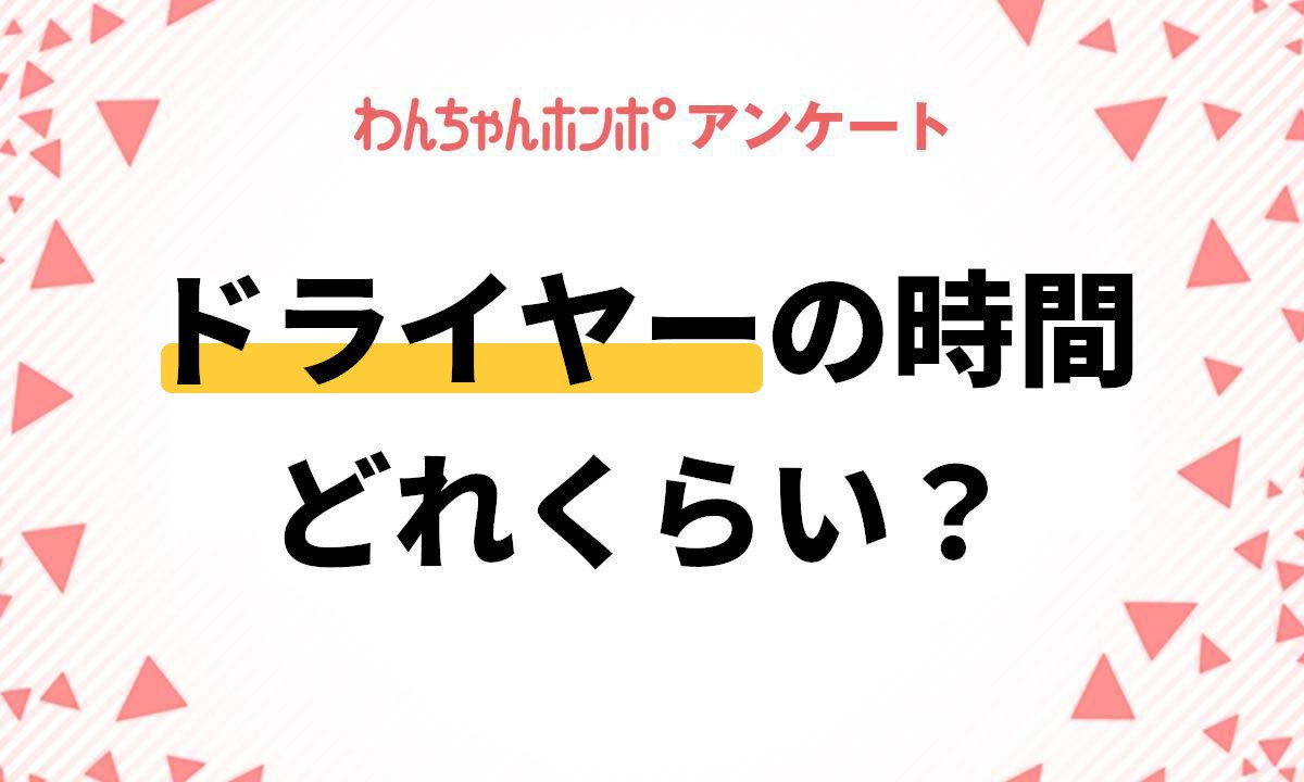 【アンケート実施中！】愛犬にドライヤーをかける時間はどのぐらい？