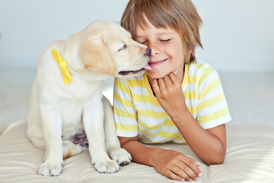 犬の世話と育児は両立できる？