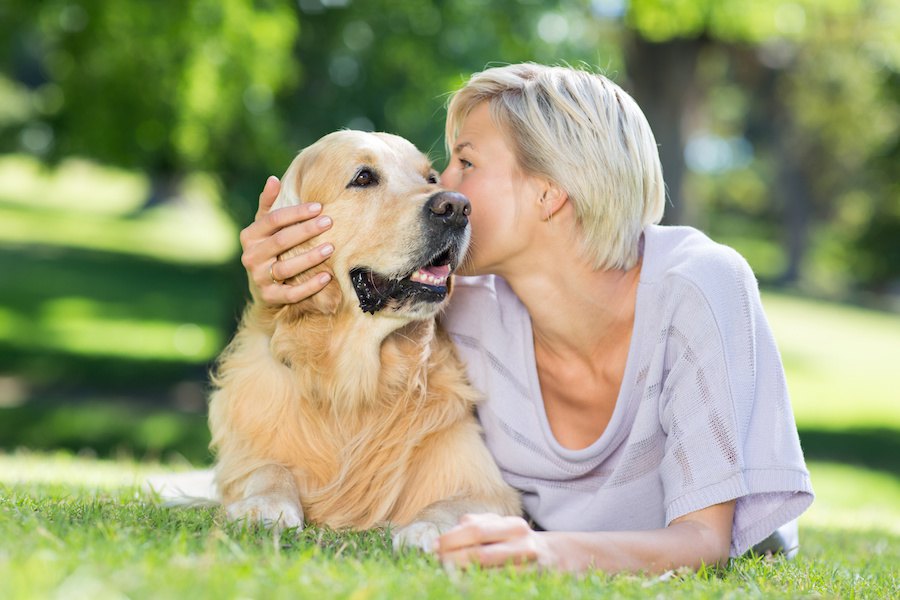 飼い主がついつい嗅いでしまう犬の部位７つ