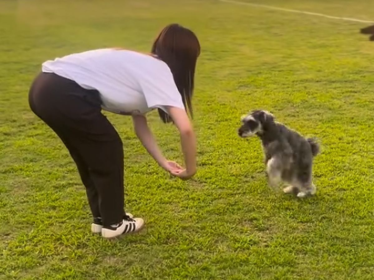 お姉ちゃんと息ぴったりでトレーニングする犬→ママがやってみた結果…コントのような『違いすぎる光景』が11万再生「最後w」「センスある」