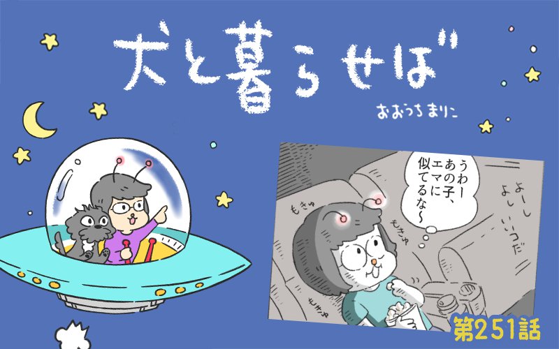 犬と暮らせば【第251話】「犬飼いの映画鑑賞②」