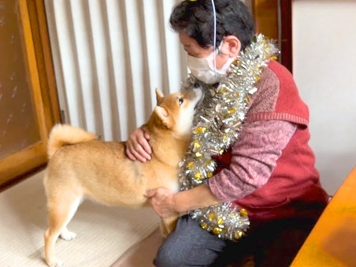 犬が『おばあちゃんの誕生日』をお祝いした結果…面白過ぎる『サプライズ』が13万再生「ハッピーニューイヤー爆笑」「幸せが詰まってる」と絶賛