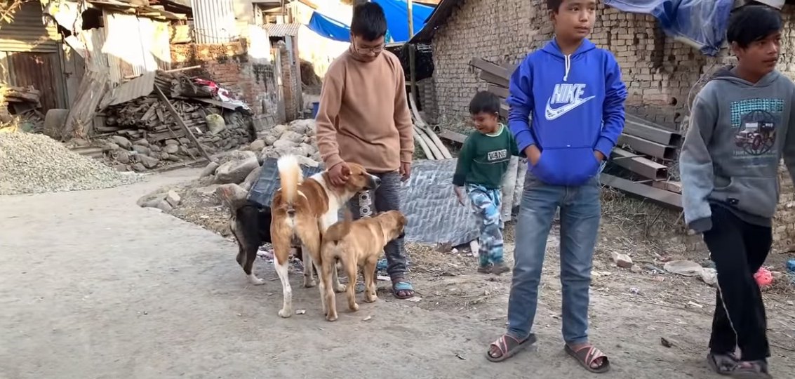 【犬の国のネパール】野良犬×現地の子供たちの関係性に感動！