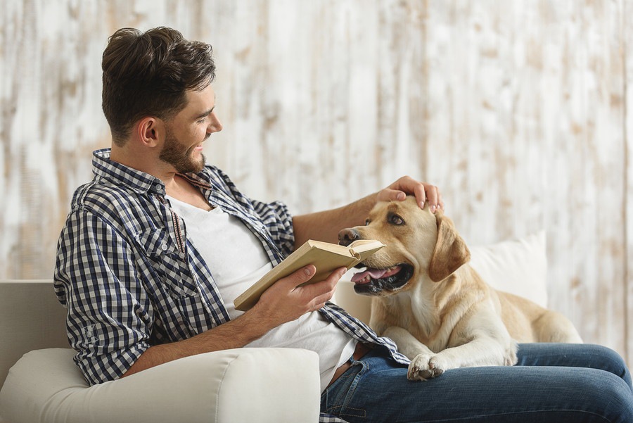 犬にとってのリーダーとは？群れの習性から紐解く条件