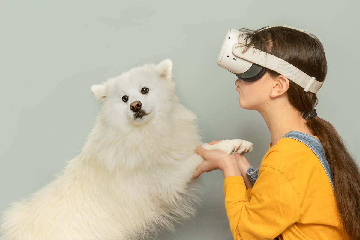 研究用VRに登場する犬の姿や行動を科学的に検証した調査結果