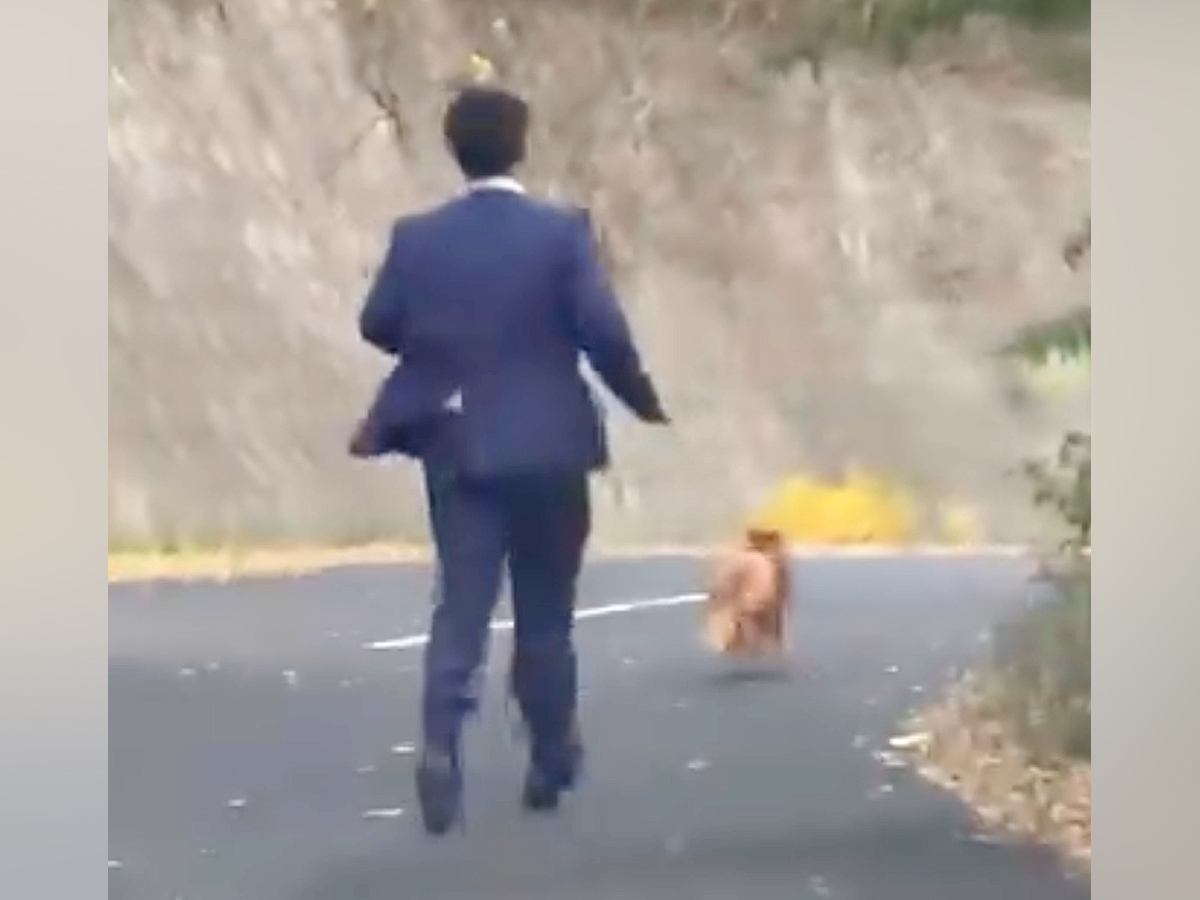 車を走らせていたら、スーツの男性が『１匹の捨て犬』を追いかけて…涙なしでは見れない『衝撃の光景』が557万再生「凄い」「ありがとう」