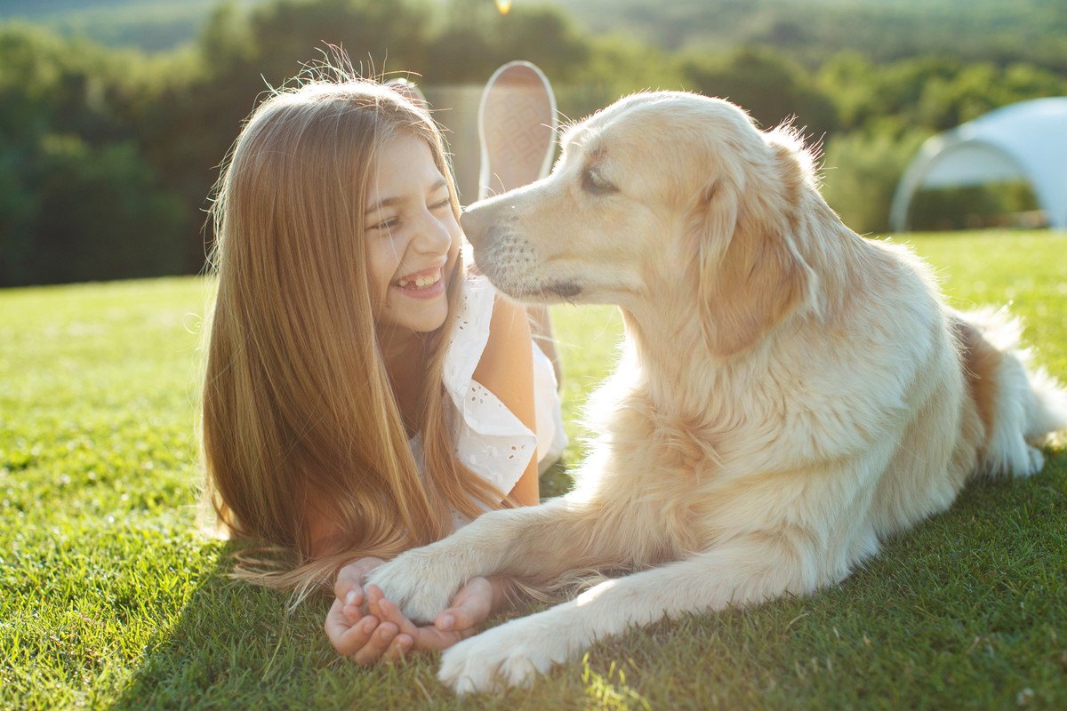 どんな気持ち？犬が『前足で飼い主を触ってくる』時の心理４選